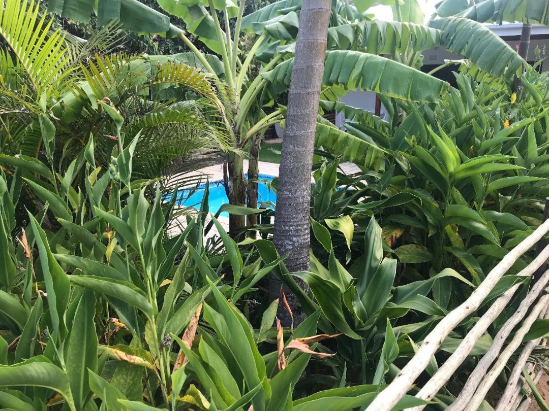 62 Hornbill Street Villa Saint Lucia Estuary Buitenkant foto